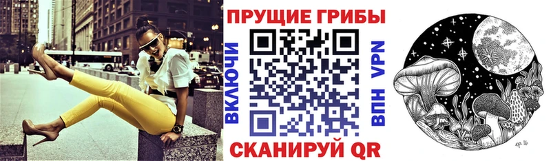 Псилоцибиновые грибы мицелий  Киселёвск 